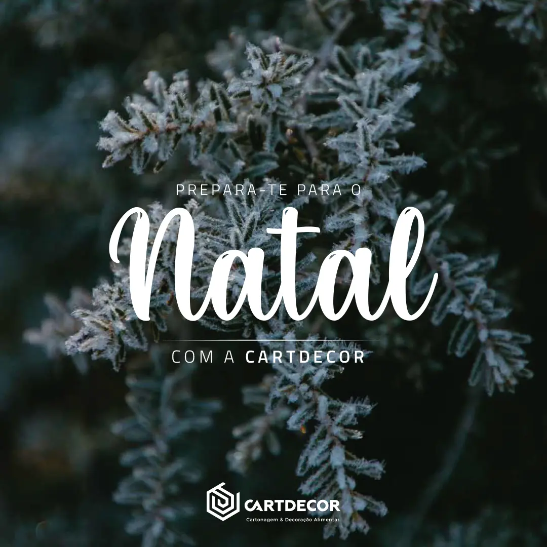 Natal 2024 | CARTDECOR